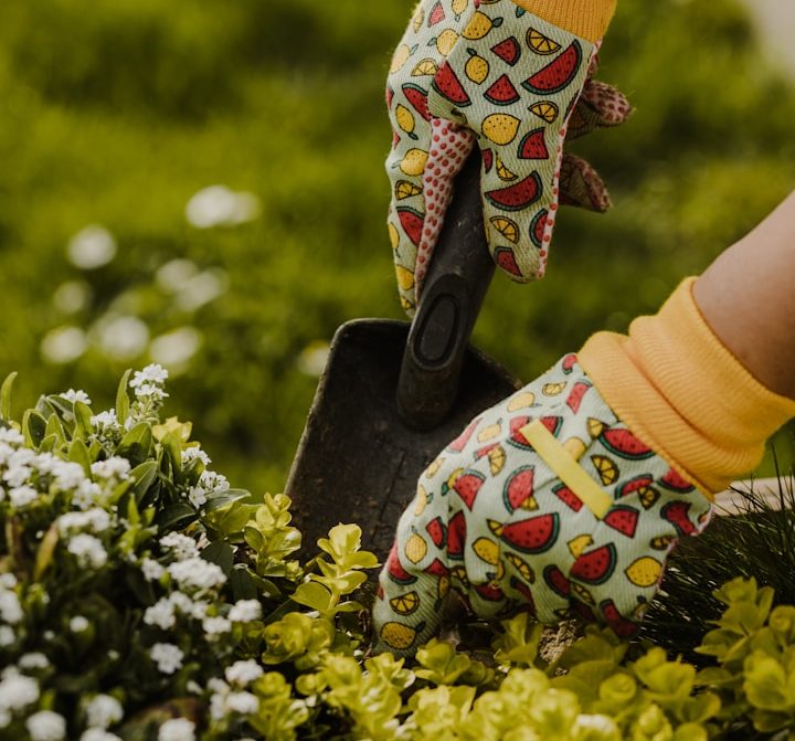 Blumenbeete und Grünanlagen professionell gepflegt – Almou Service